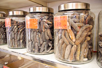 Sea cucumbers