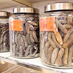 Serial exploitation of global sea cucumber fisheries